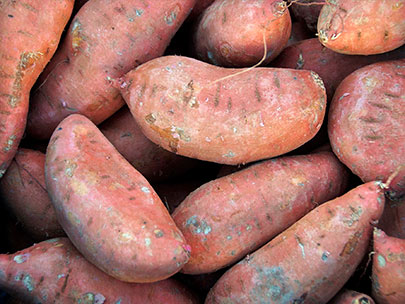 Moniato i batata, és el mateix?
